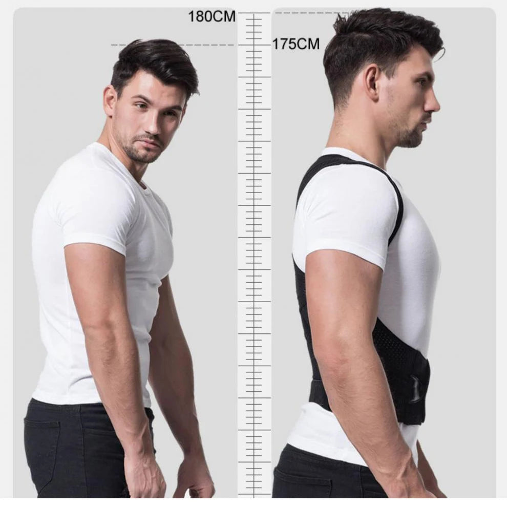 Alloy Spine Support Brace